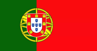 TRADUCCIONES PROFESIONALES